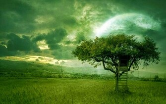 Popular Wallpaper S