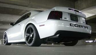 Ford Svt Mustang Cobra Terminator Mustangs