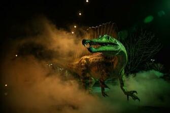 Pics Photos Spinosaurus Wallpaper Picture