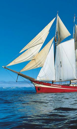 Small Sailboat HD Live Wallpaper For Android