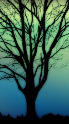 Silhouettes Tree iPhone 5s Wallpaper Enter