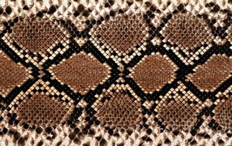 Print Wallpaper HD Widescreen Snake Skin More