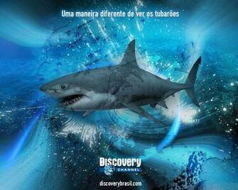 Discovery Channel Wallpaper