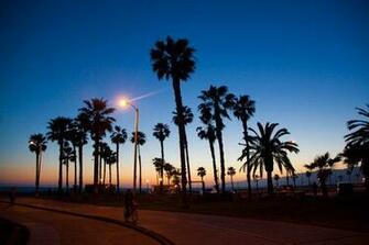 Venice Beach Sunset Photo