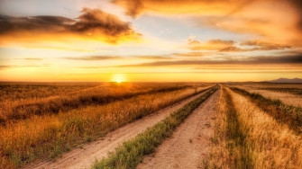 Country Roads Wallpaper