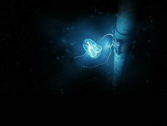 Best Abstract Wallpaper HD High Defination