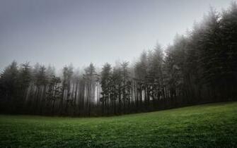 Fog HD Wallpaper Background Image Id