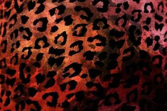Leopard Print Wallpaper55 Best Wallpaper For Pcs Laptops