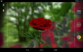 3d Rose Live Wallpaper Screenshot