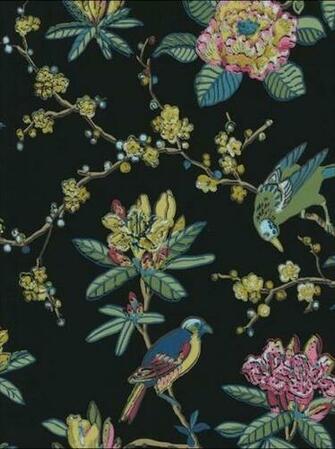 Shand Kydd Budgie Wallpaper Eclectic Houston By