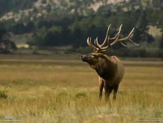 National Geographic Desktop Wallpaper