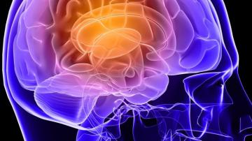 Ways To Train Your Brain For Positivity Inc