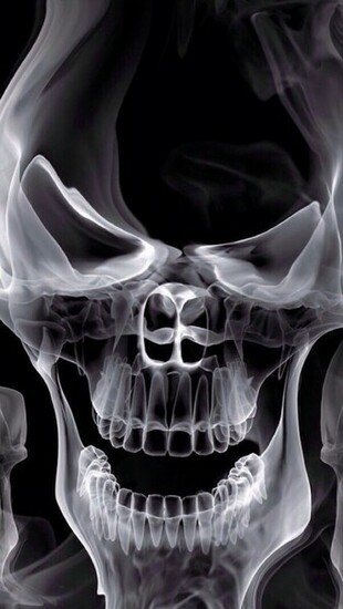 Skull X Ray Wallpaper iPhone