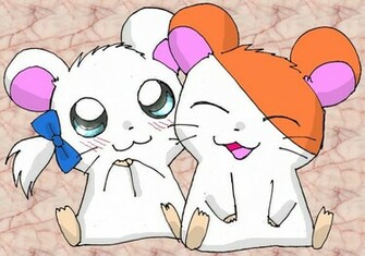 Wallpaper Cartoon Hamtaro Looking For Here Find