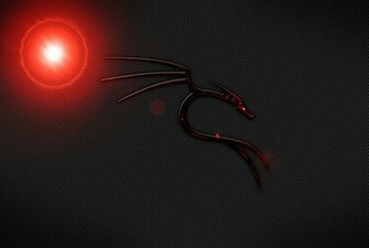 Wallpaper Backtrack My Deluxe Stylez