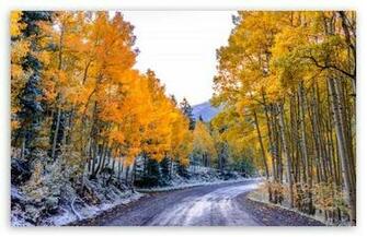 Autumn Winter HD Desktop Wallpaper Fullscreen Mobile Dual