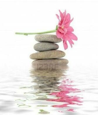 News From France Going Zen In Soul Searching
