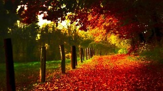 Autumn Scenery Id Buzzerg