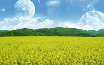 Dreamland Wallpaper