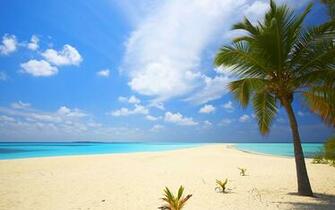 Beach Wallpaper For Mac Html Attachment