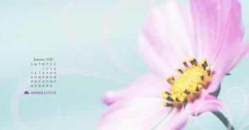 Desktop Wallpaper Calendar January To