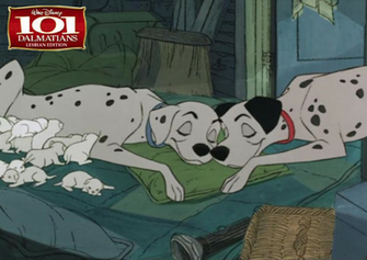 Dalmatians Lesbian Edition Wallpaper By Warlordstudios On