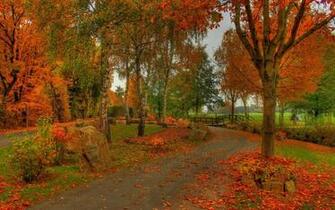 Park In Fall Wallpaper