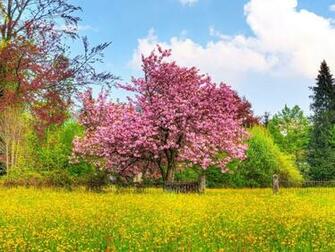 Beautiful Spring Desktop Pc And Mac Wallpaper