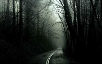 Category Nature HD Wallpaper Subcategory Forests
