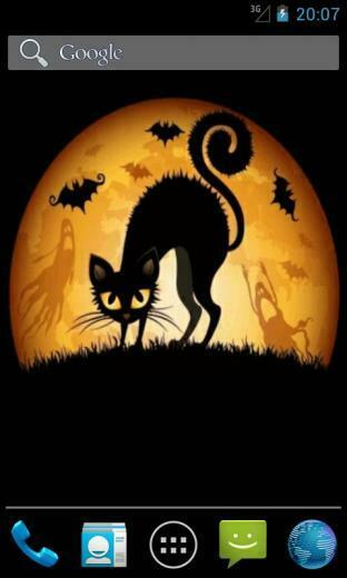 Halloween Black Cat Live Wallpaper For Your Android Phone