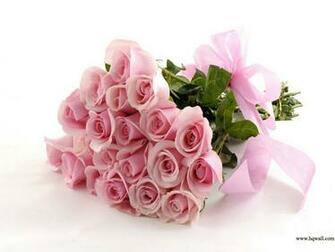 Beautiful Flowers HD Wallpaper Pink Color Rose Background Desktop Pc