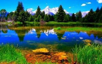 Beautiful Image Wallpaper