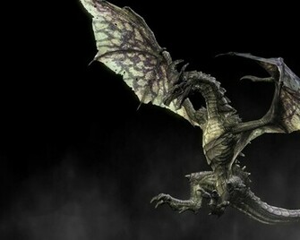 Skyrim Dragon Background Wallpaper HD Background