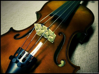 Violin 2z0qfmgflgdh918t Wallpaper