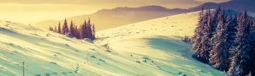 Linkedin Background HD Quality Background Photos