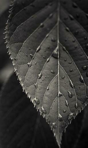 Bigger Htc Sense Live Wallpaper For Android Screenshot