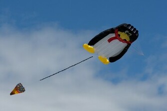 Kites Flying In Line Sky Canada