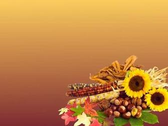 Thanksgiving Background Image