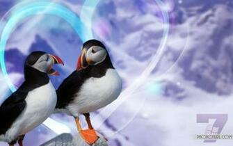Hallmark Wallpaper For Desktop In HD