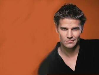 David Wallpaper Boreanaz