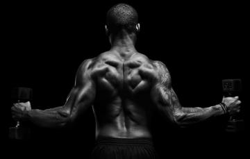 Wallpaper Man Back Muscular Image For Desktop Section