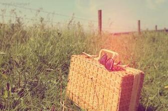 Vintage Summer Photography Wallpaper