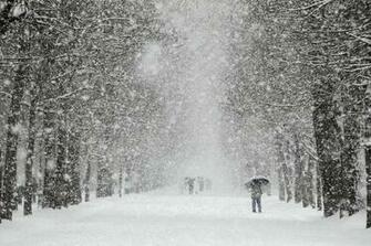 Let It Snow Wallpaper HD Desktopinhq