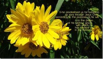 Ephesians Wallpaper