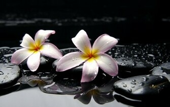 Zen Water Wallpaper HD