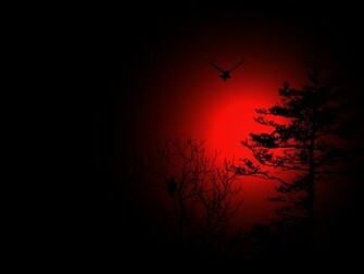 Blood Moon Wallpaper