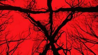 Blair Witch Wallpaper And Background Image Net