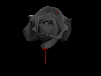 No Love Pain Wallpaper Image Pictures Becuo