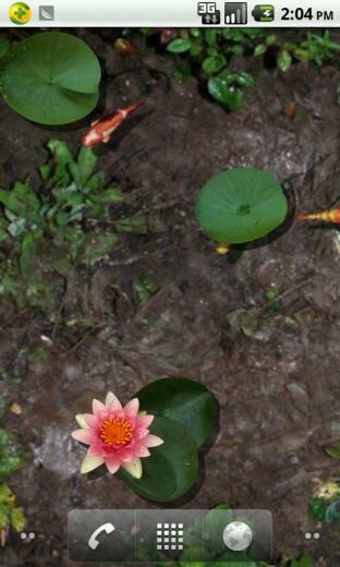 3d Koi Pond Live Wallpaper Android
