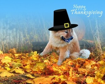 Desktop Background Thanksgiving